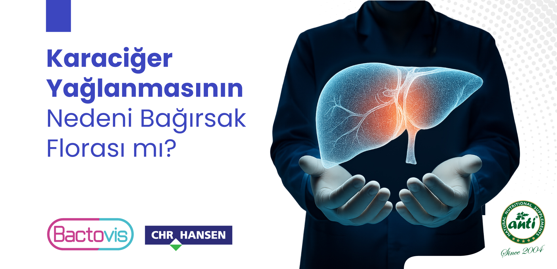 Karaciğer Yağlanmasının Nedeni Bağırsak Florası mı?