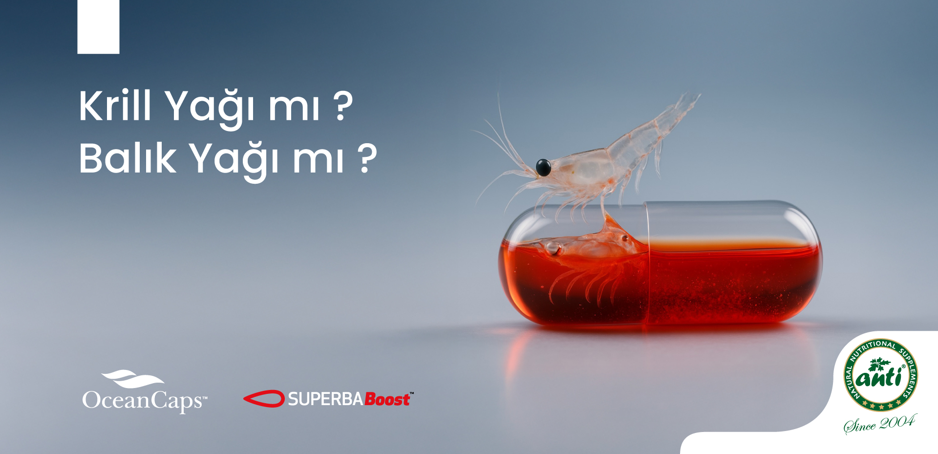 Krill Yağı mı ? Balık Yağı mı ?