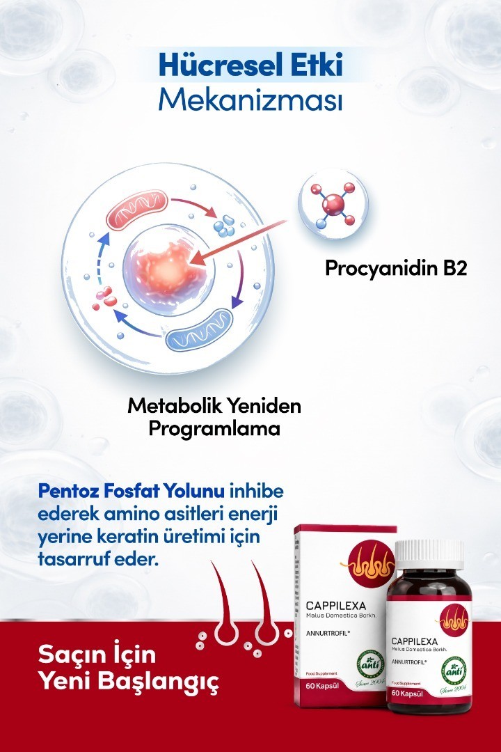 Cappilexa Annurca Elma Ekstresi - 1